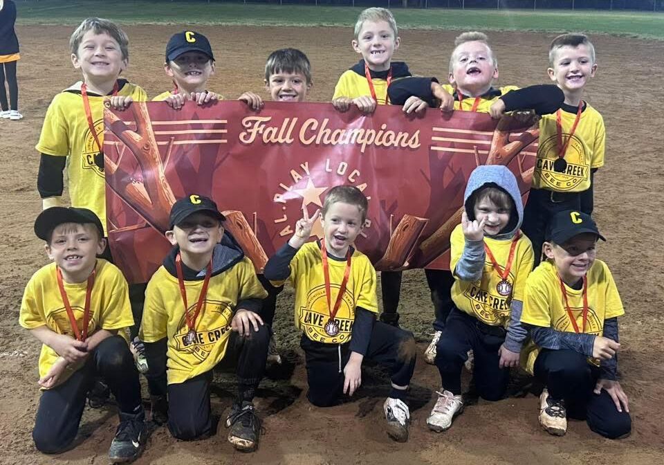 cave creek bee company baseball fall champions